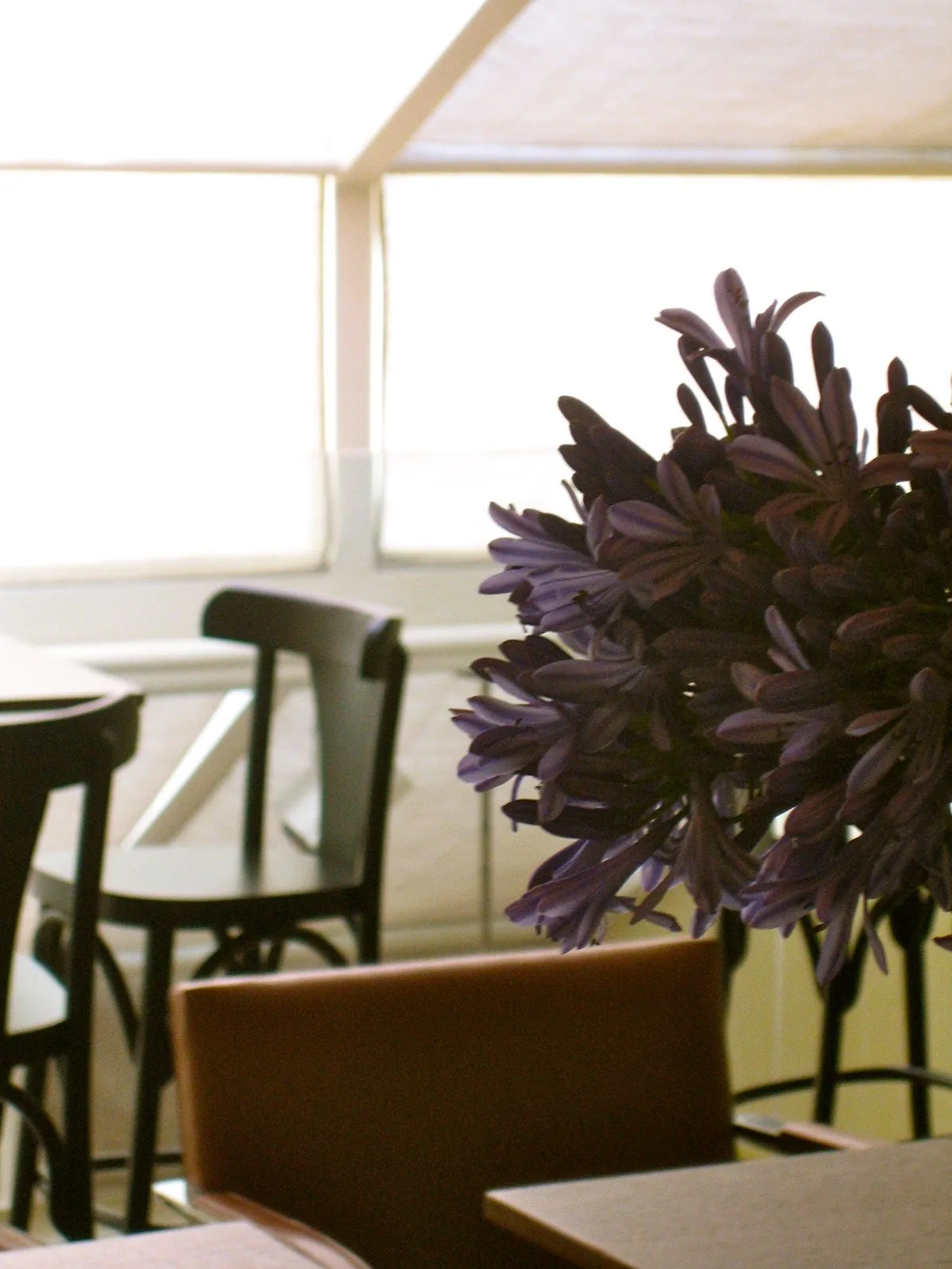 Felice Café